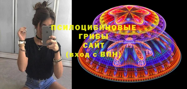 дмт Алзамай